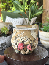 Load image into Gallery viewer, Cottage on the Brae - Planter  M-14
