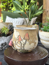 Load image into Gallery viewer, Cottage on the Brae - Planter  M-14
