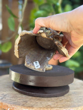 Load image into Gallery viewer, W-3 Woodland Wax Melter
