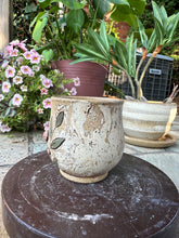 Load image into Gallery viewer, Cottage Bloom Cup - no handle
