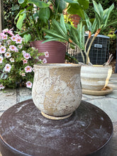 Load image into Gallery viewer, Cottage Bloom Cup - no handle
